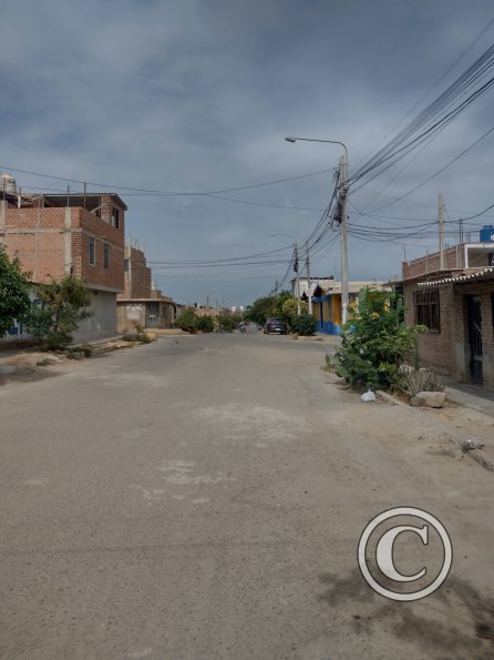 street scene (33)