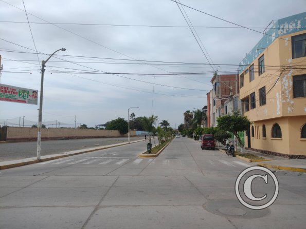 street scene (35)