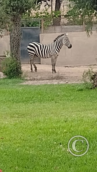 IMG_20230219_162820616