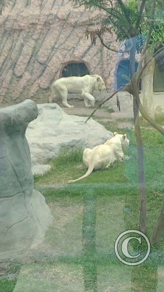 IMG_20230219_163708586