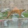 IMG_20230219_164206778