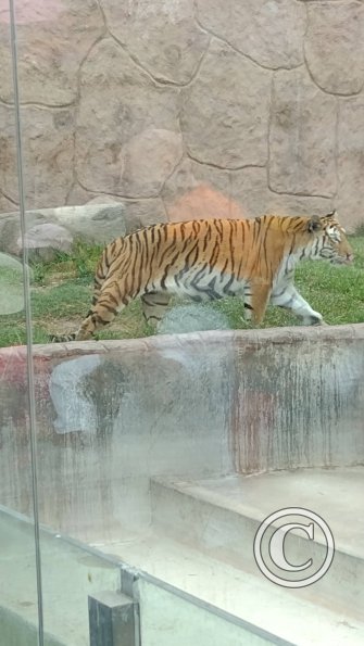 IMG_20230219_164206778