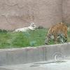 IMG_20230219_164211512