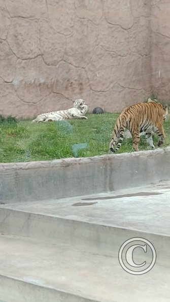 IMG_20230219_164211512