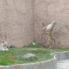 IMG_20230219_164304338