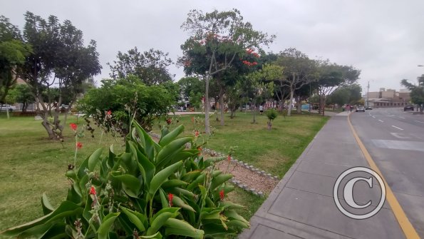 IMG_20230219_171157494_HDR