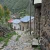 Ancient fieldstone road (2)
