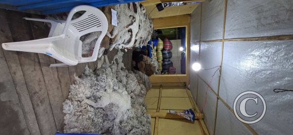 Inside a business with sheep pelts