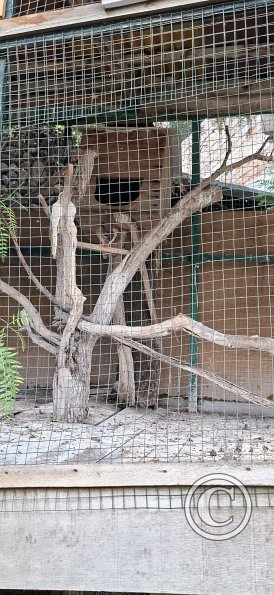 Parque de la Identidad Anccara (17)