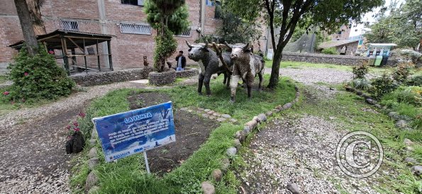 Parque de la Identidad Anccara (49)