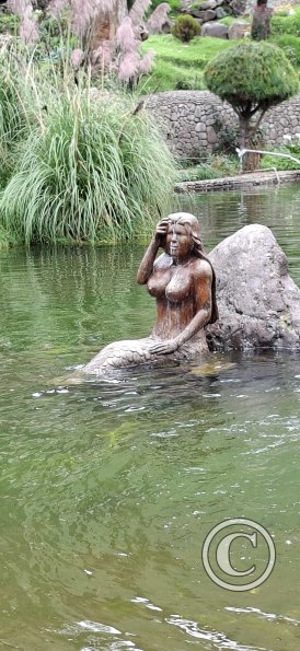 Parque de la Identidad Anccara (54)