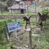 Parque de la Identidad Anccara (56)