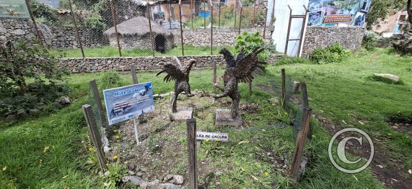 Parque de la Identidad Anccara (56)