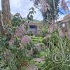 Parque de la Identidad Anccara (61)