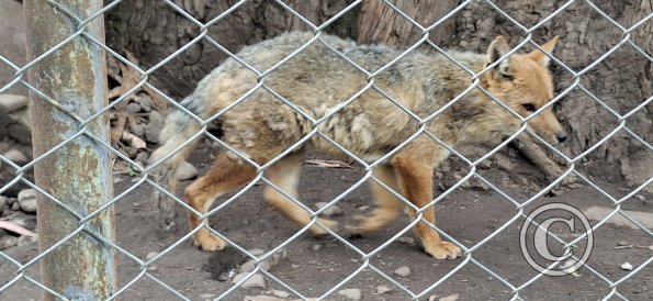 Parque de la Identidad Anccara (66)