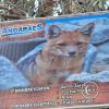 Parque de la Identidad Anccara (68)