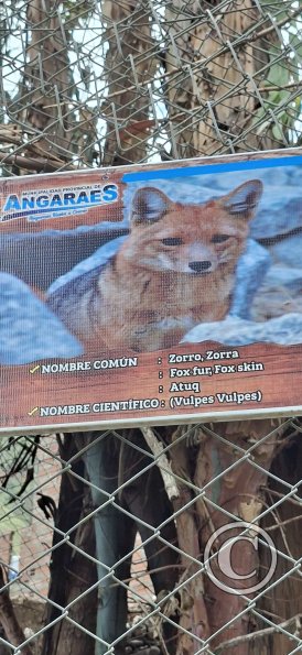 Parque de la Identidad Anccara (68)