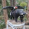 Parque de la Identidad Anccara (70)