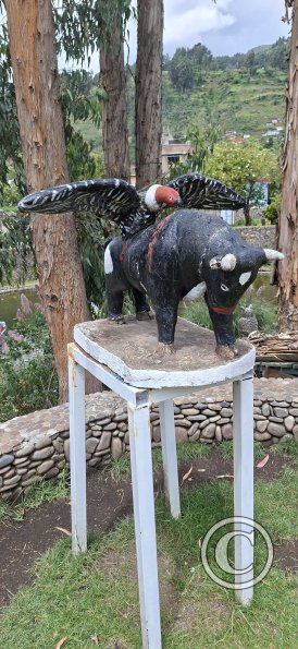 Parque de la Identidad Anccara (70)