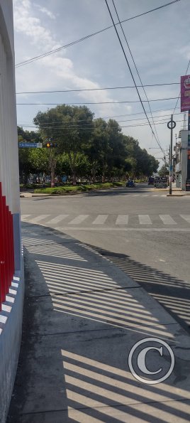 Parque La Alameda (3)