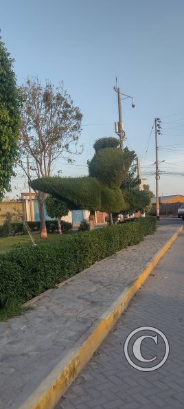 Unname park at edge of town, end of Av. Camana (3)