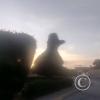 Unname park at edge of town, end of Av. Camana (5)