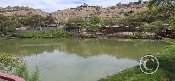 Parque Las Iguanas