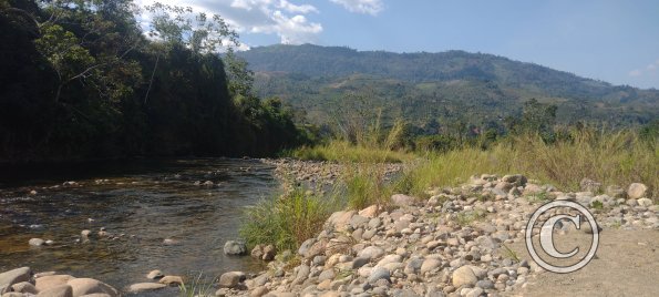 Rio Mazamari (3)