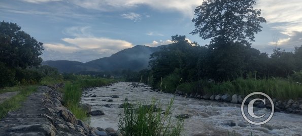 Rio Mazamari (9)