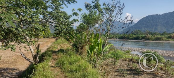 Along the Rio Huallaga (3)