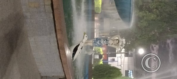 IMG_20250717_184451136