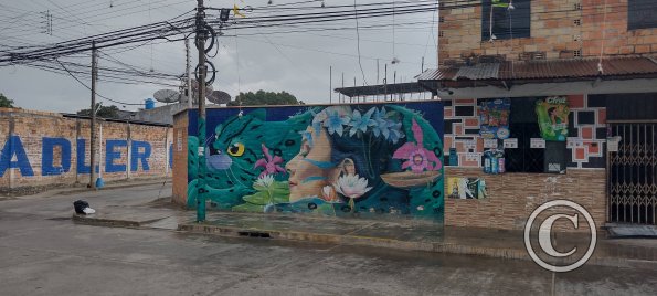 IMG_20250718_124225554_HDR