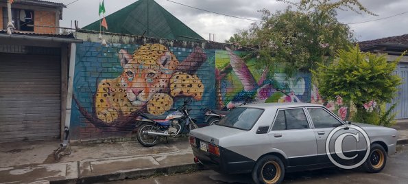 IMG_20250718_134627272_HDR