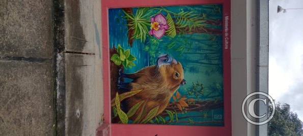 IMG_20250718_134744121_HDR