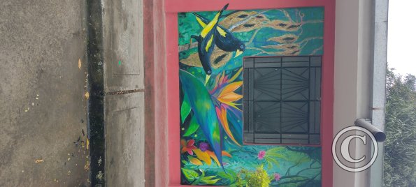 IMG_20250718_134750364