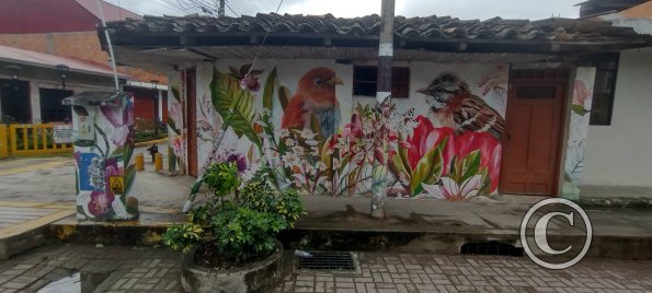 IMG_20250718_135655521_HDR