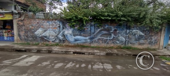 IMG_20250718_135702439_HDR
