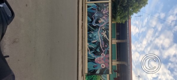 IMG_20250718_174234359_HDR
