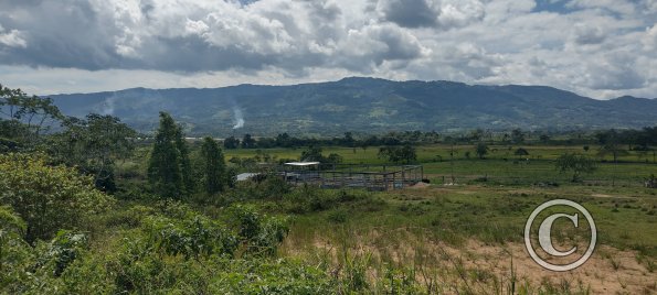 IMG_20250720_111946384_HDR
