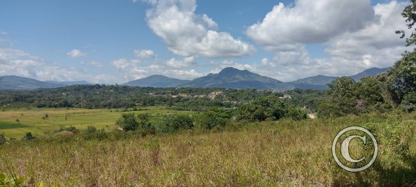 IMG_20250720_113357578_HDR