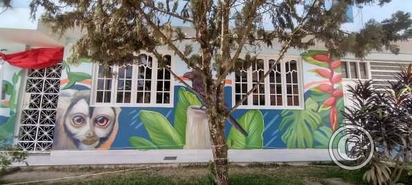 IMG_20250720_132238919_HDR