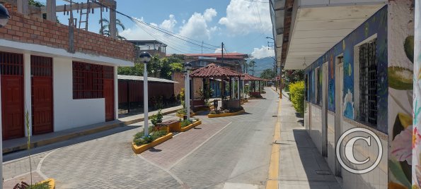 Jiron Esperanza y Jiron Bolivar (5)