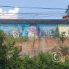 Mural - Ignacia Velesquez behind Establecimiento Penitenciario Moyobamba (2)