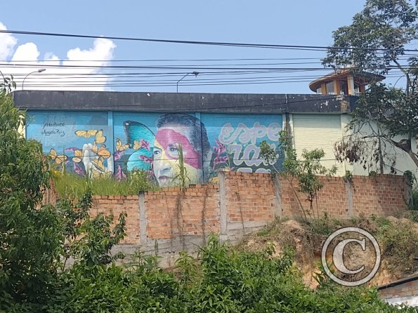 Mural - Ignacia Velesquez behind Establecimiento Penitenciario Moyobamba