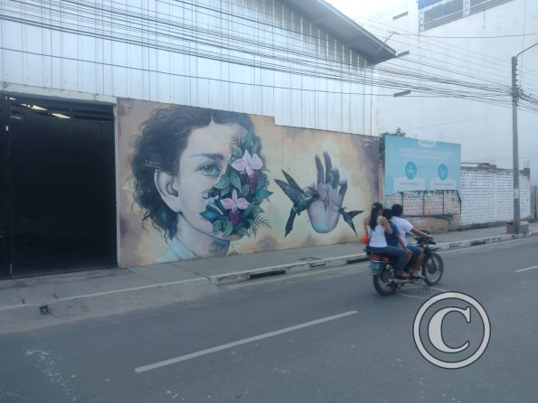 Mural - Jiron Alonso de Alvarado near Jiron Oscar Benavides (3)