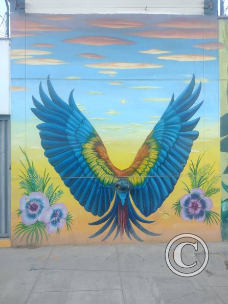 Mural - Jiron Alonso de Alvarado near Jiron Oscar Benavides