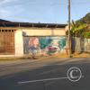 Mural - Jiron Alonso de Alvarado y Jiron 25 de Mayo (2)