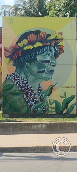 Mural - Jiron Callao y Jiron Pedro Canga