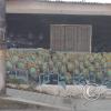Mural - Jiron Damian Najar y Pasaje San Martin (2)