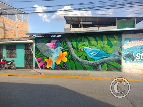 Mural - Jiron Esperanza y Jiron Emilio San Martin